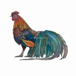 Phoenix Chicken